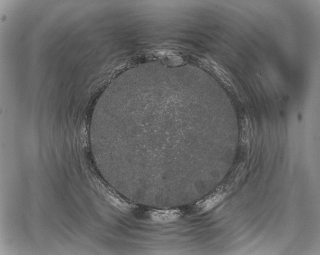 X0000067910465200604171343