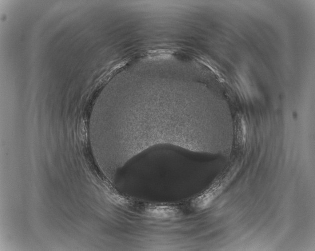 X0000067910467200604171343