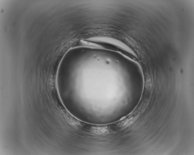 X0000067910469200604171343