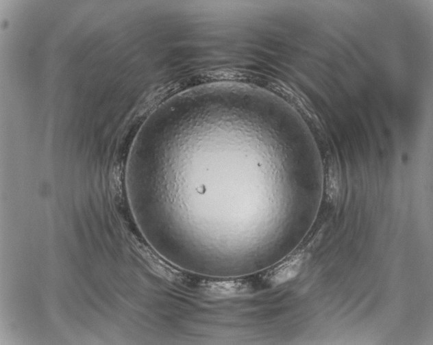 X0000067910473200604171343