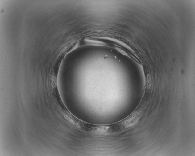 X0000067910474200604171343