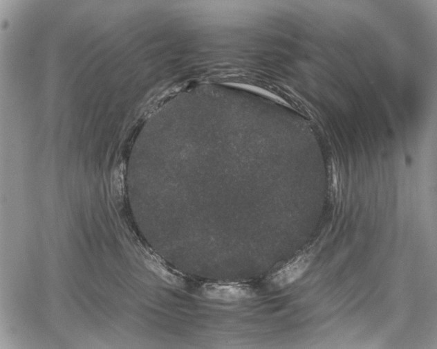 X0000067910475200604171343