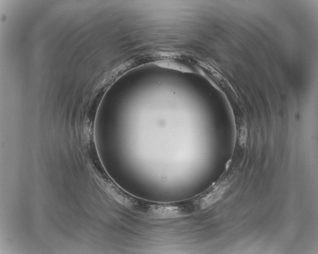 X0000067910476200604171343