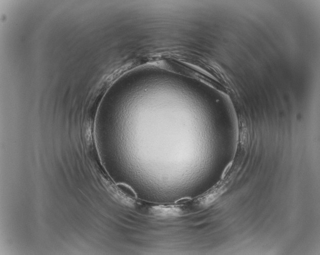 X0000067910477200604171343