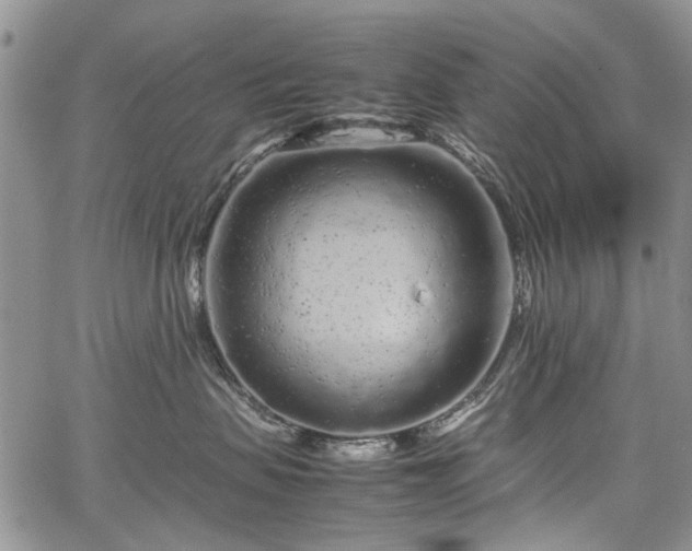 X0000067910479200604171343