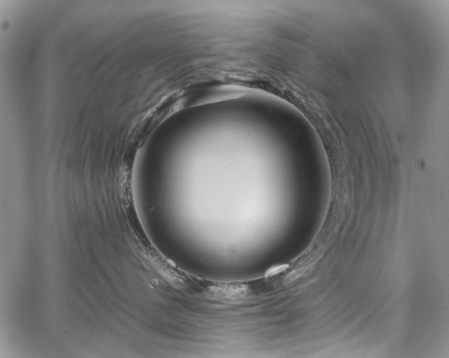 X0000067910480200604171343