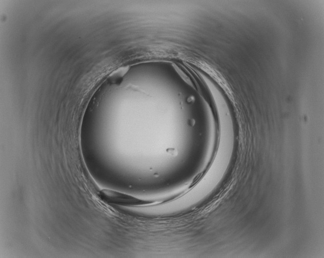 X0000067910481200604171342