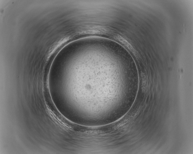 X0000067910482200604171342