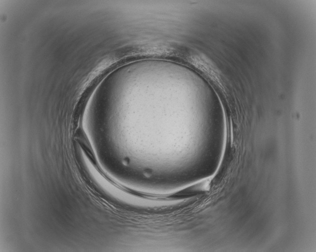 X0000067910483200604171342