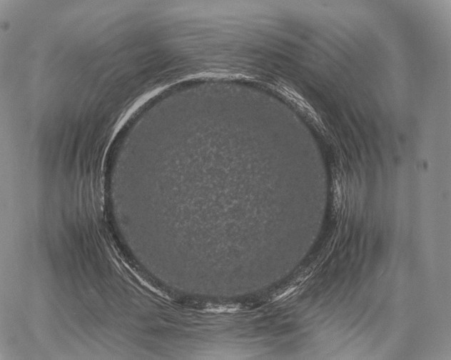 X0000067910484200604171342