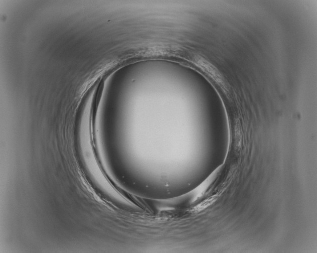 X0000067910485200604171342