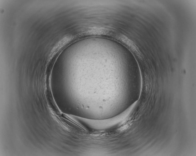 X0000067910486200604171342