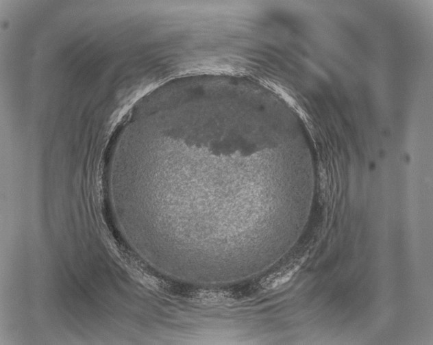 X0000067910487200604171342