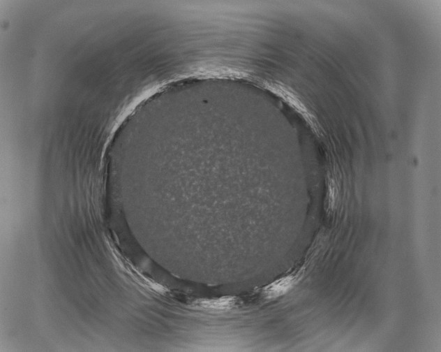 X0000067910488200604171342