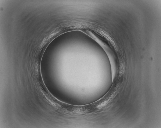 X0000067910489200604171342