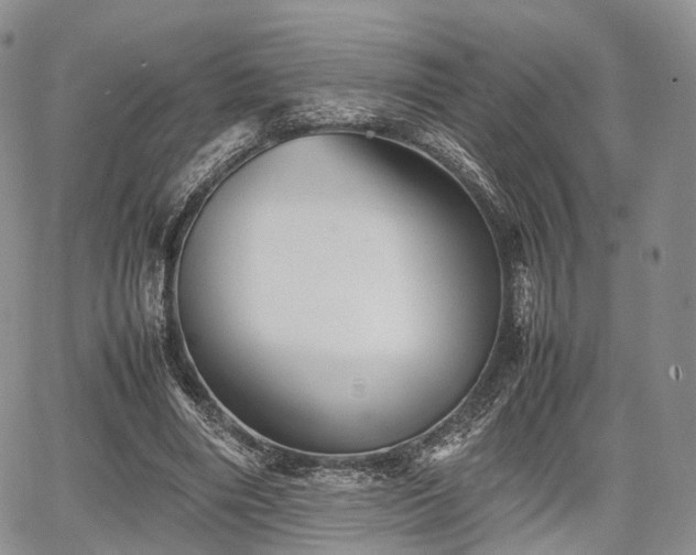 X0000067910490200604171342