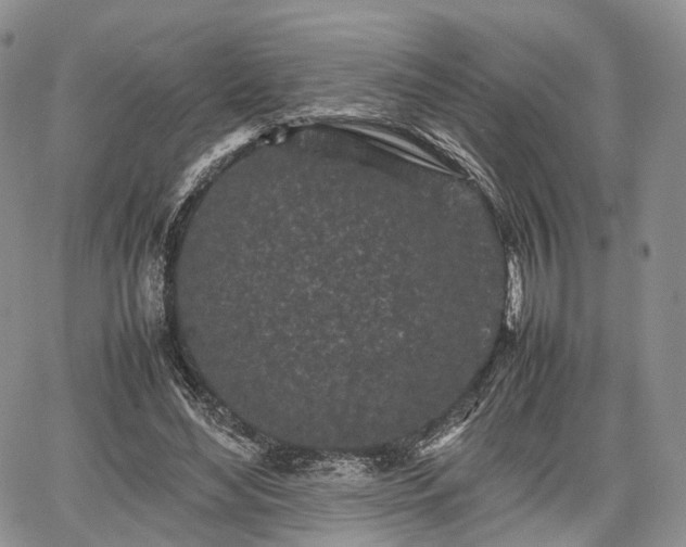 X0000067910492200604171342