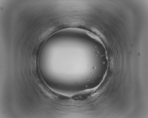 X0000067910493200604171342