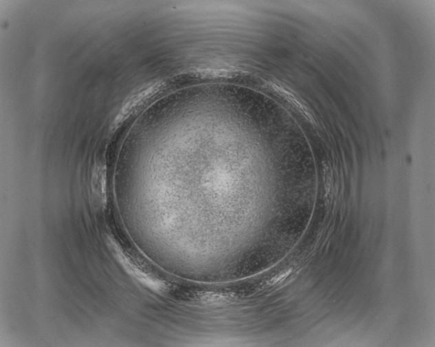 X0000067910494200604171342