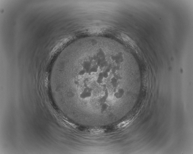 X0000067910495200604171342