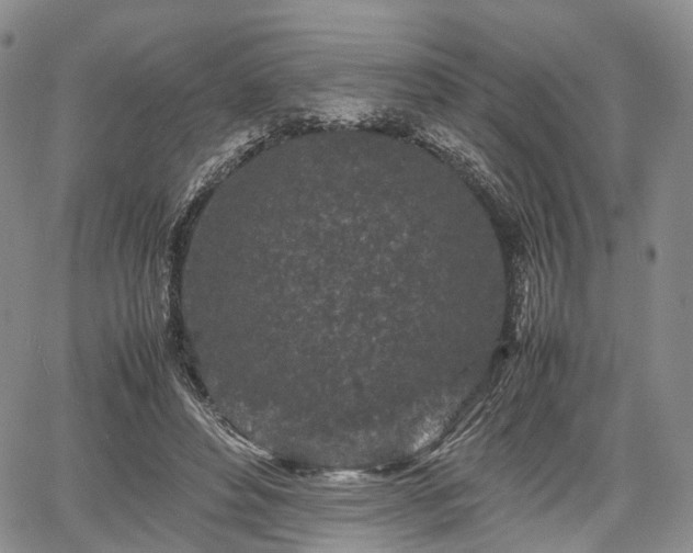 X0000067910496200604171342