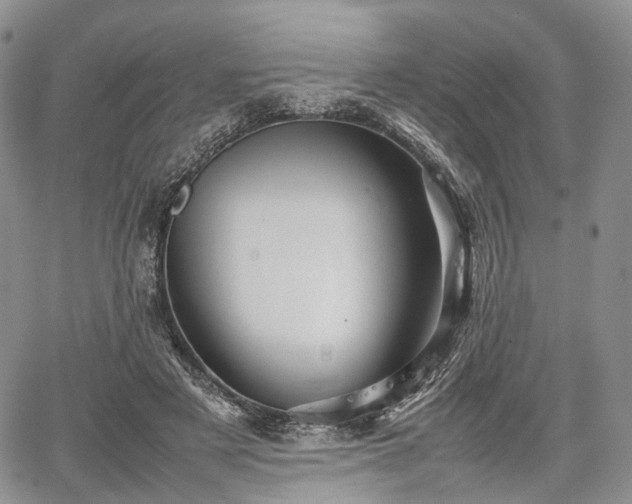 X0000067910497200604171342