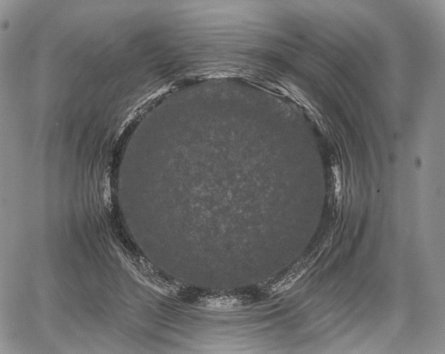 X0000067910500200604171342