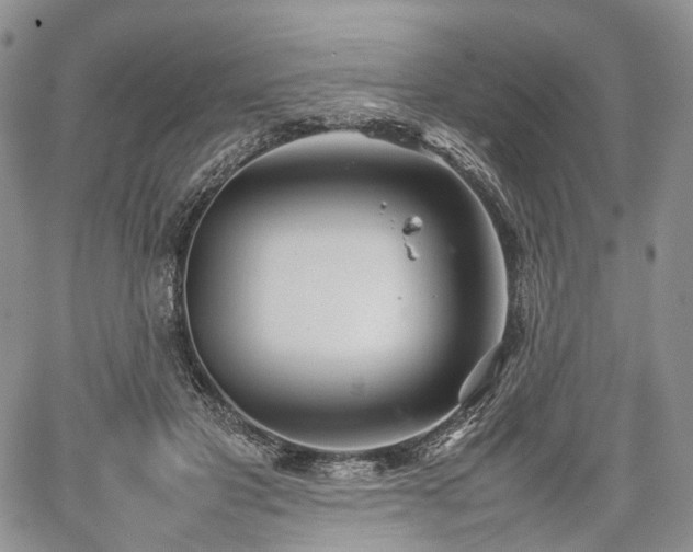 X0000067910501200604171342