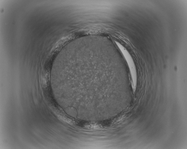 X0000067910503200604171342