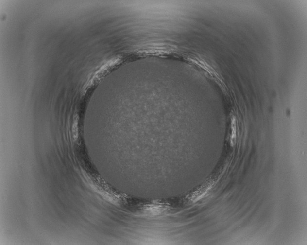 X0000067910504200604171342