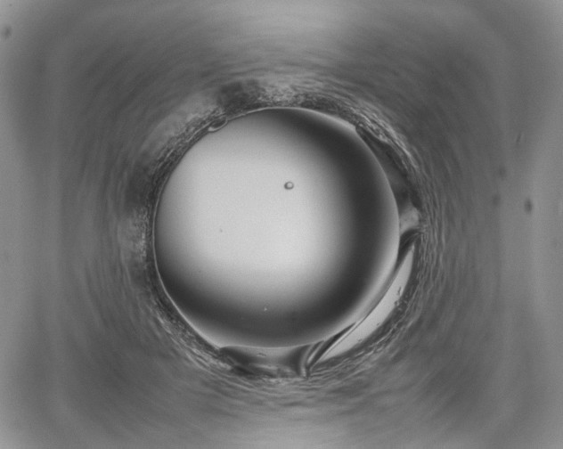 X0000067910505200604171342