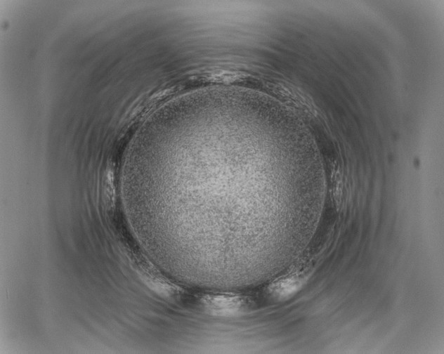 X0000067910506200604171342