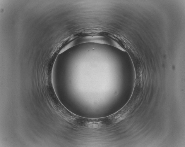 X0000067910508200604171342