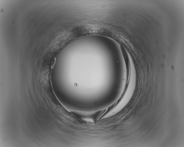 X0000067910509200604171342