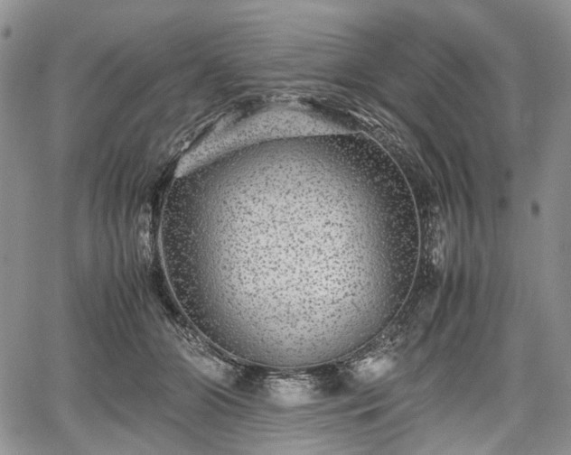 X0000067910510200604171342