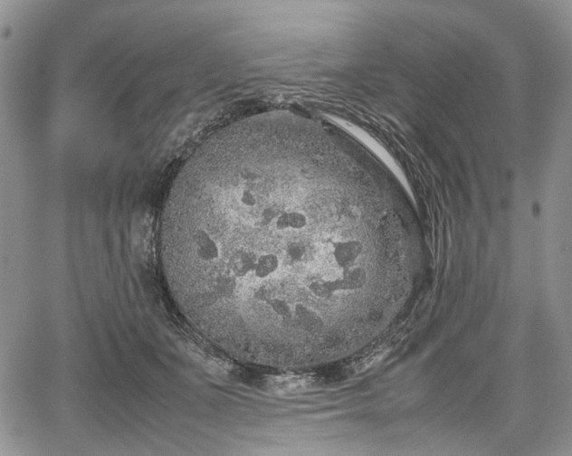 X0000067910511200604171342