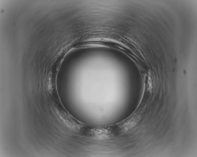 X0000067910512200604171342