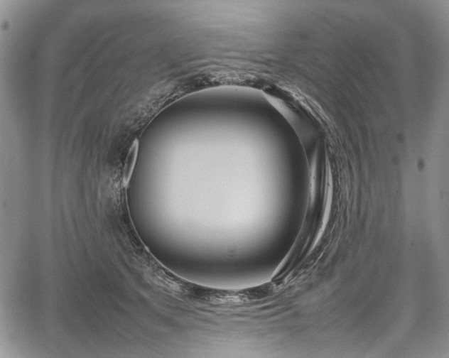 X0000067910513200604171342