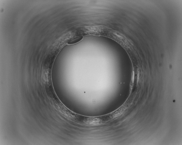 X0000067910514200604171342