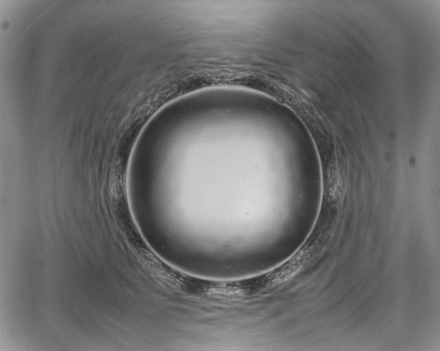 X0000067910515200604171342