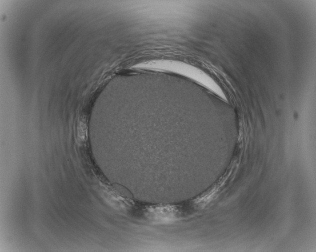 X0000067910517200604171342