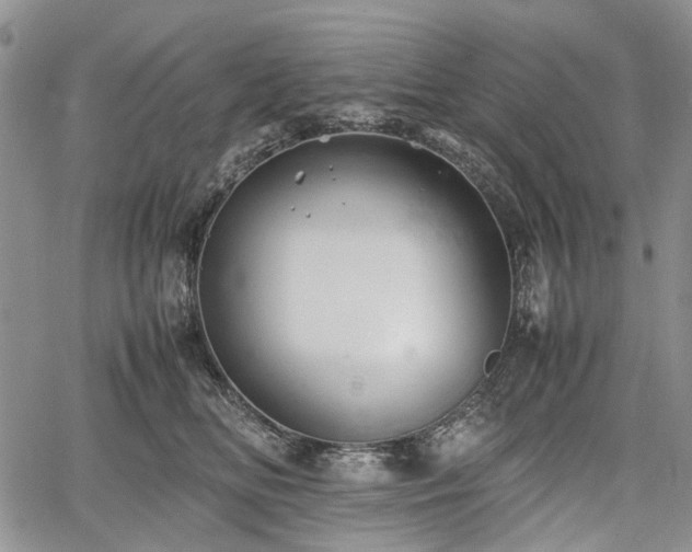 X0000067910518200604171342