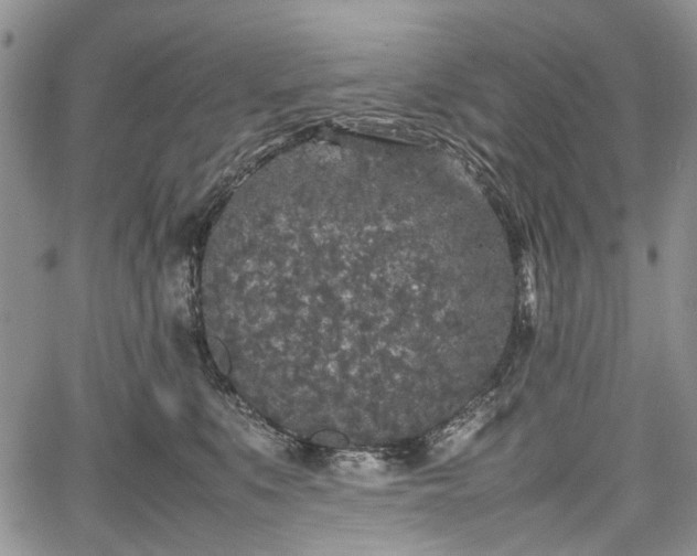 X0000067910519200604171342