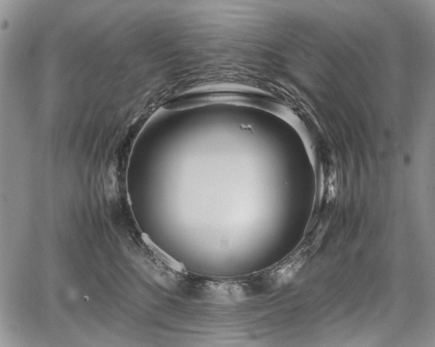 X0000067910520200604171342