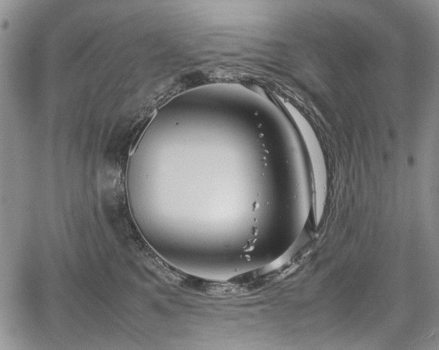 X0000067910521200604171342