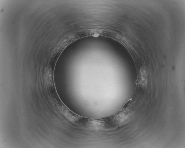 X0000067910522200604171342