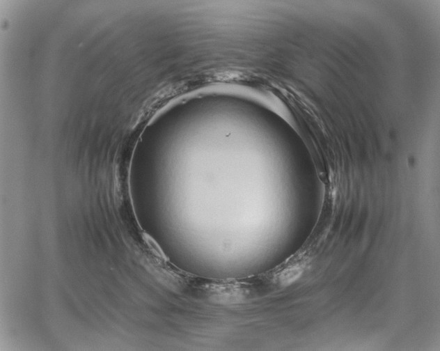 X0000067910524200604171342