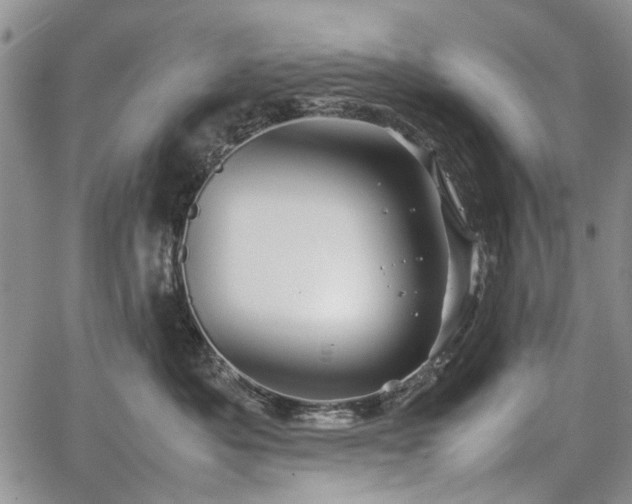 X0000067910525200604171342