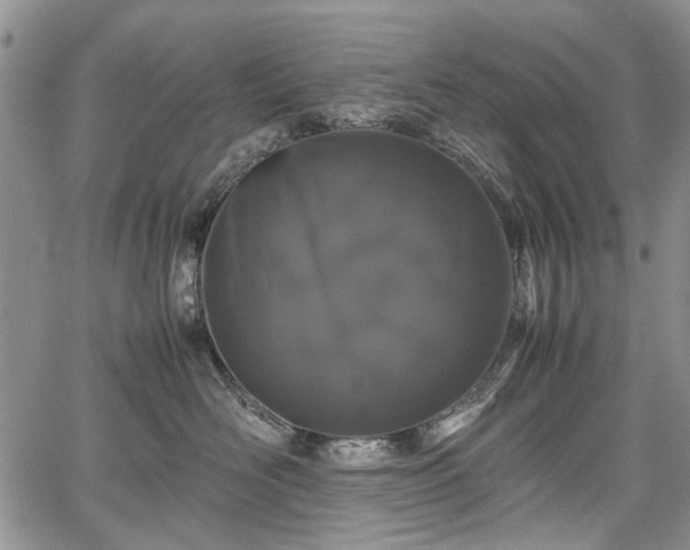 X0000067910526200604171342