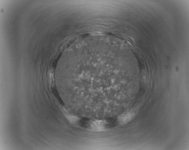 X0000067910527200604171342